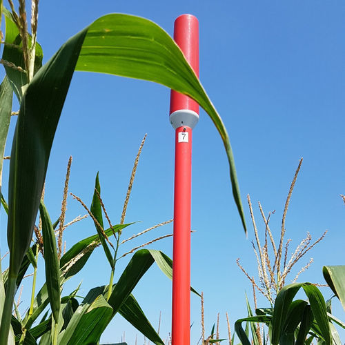 Sensor de umidade para solo - PlantCare AG - umidade volumétrica / de potencial hídrico / sem fio