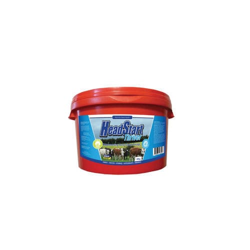 Suplementação em bloco para bovinos - HEADSTART THRIVER - Inform Nutrition Ireland - com oligoelementos / vitamínica / mineral
