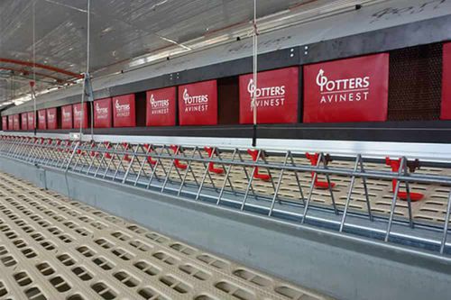 Sistema de ninhos para reprodutores de frangos - POTTERS POULTRY LTD - 2 níveis