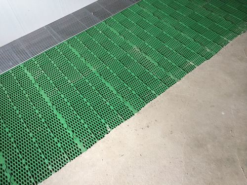 Grade de piso plástica - Cooperl Northern Europe B.V. - para suinocultura / antiderrapante / higiênica