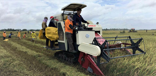 Colheitadeira para arroz - Ruilong 4LZ-4.0E - Jiangsu WORLD Agricultural Machinery Co., Ltd. - montada em trator