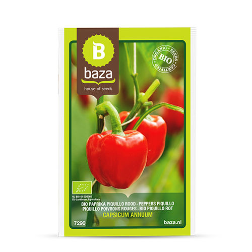 Semente de pimentão biológica - PAPRIKA - BAZA Seeds Holland b.v.