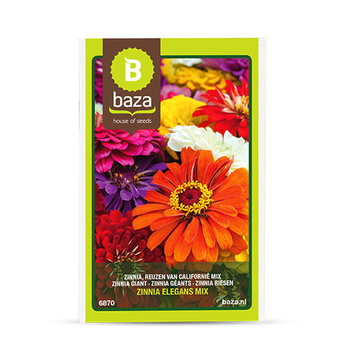 Semente de flor anual - Zinnia Californian giant - BAZA Seeds Holland b.v. - mistura de diferentes cores / a cortar / mistura