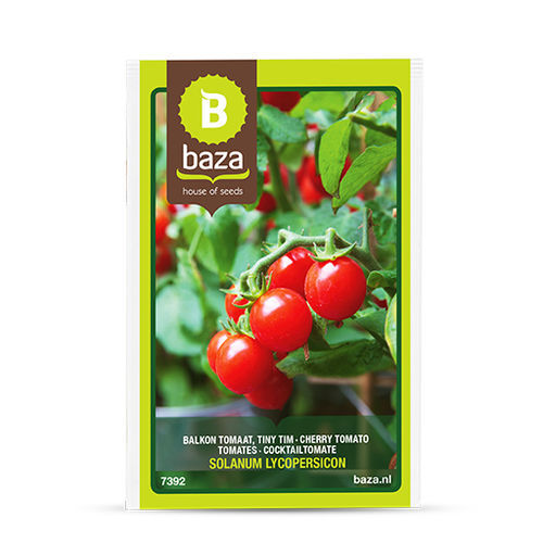 Semente de tomate vermelha - 7392 - BAZA Seeds Holland b.v. - redonda / para culturas em estufas / em vaso