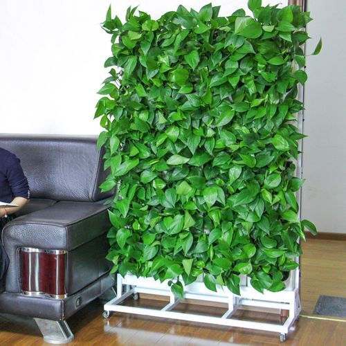 Sistema hidropônico vertical - AMELIA  - Resyx GmbH - Litrax - para jardim / para ambiente interno / de parede