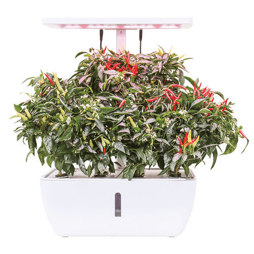 Sistema hidropônico automático - CHLOE  - Resyx GmbH - Litrax - para ambiente interno / para jardim