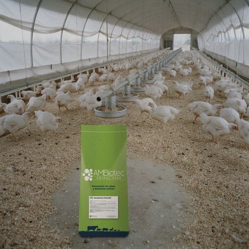 Suplemento para animais - Micoxcocci - AMBiotec - para aves / para frangos de corte / mineral