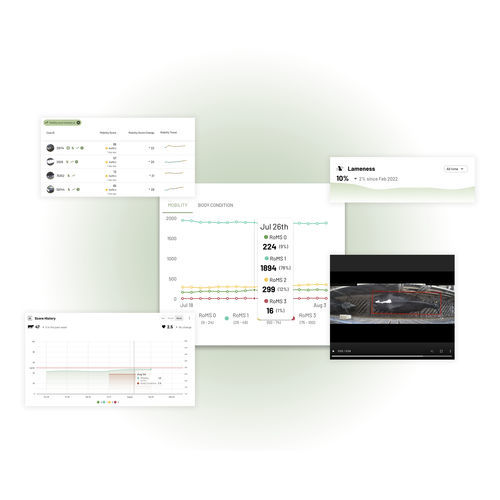 Sistema de monitoramento para vacas - CattleEye Ltd. - do estado clínico / para ordenha / da condição corporal