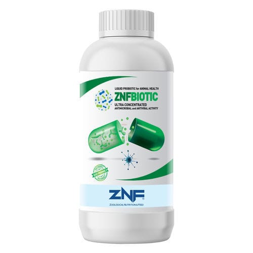 Aditivo alimentar antibacteriano - BIOTIC - ZNF Besin Maddeleri San. ve Tic. A.S. - para aves