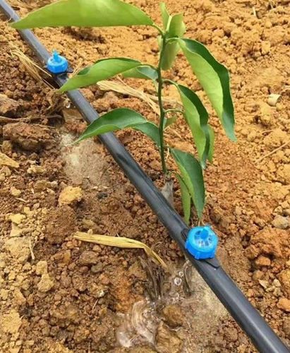 Sistema de irrigação por gotejamento para o solo - Yibiyuan Water-saving Irrigation Technology Co., Ltd.
