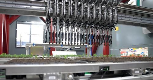 Máquina de repicagem para bandejas - BCC FiberCell - automática