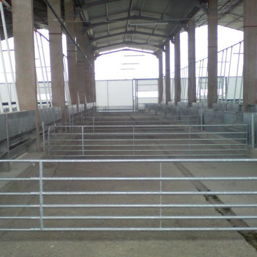 Barreira para ovelhas - FENG82, B - AHI - FARM CAMARA - para pecuária / para estabulação de animais / metálica
