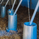 comedouro para ambiente interno / para aves / em aço galvanizado