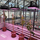 iluminação para estufa / para cultivo vertical / para câmara de crescimento de plantas / para floricultura