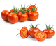 semente de tomate vermelha / superprecoce / resistente à fusariose / resistente ao mosaico