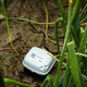 sensor de umidade para solo / de temperatura / de condutividade elétrica