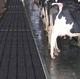 tapete em borracha / para galpão agrícola / Celeiro leiteiro / conforto das vacas